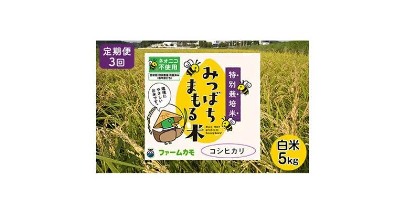 【ふるさと納税】2024年10月以降発送開始【定期便3回】雄踏ファームカモ産「特選みつばちまもる米」5kg コシヒカリ（3ヶ月連続・合計15kg）　定期便・ お米 白米 ブランド米 ご飯 おにぎり お弁当 産地直送 1等米 　お届け：2024年10月～2025年6月末