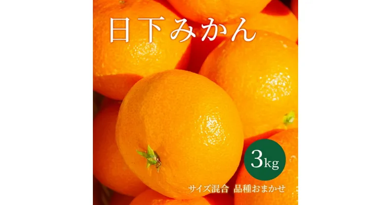 【ふるさと納税】【2024年10月以降順次発送】日下みかん サイズ混合 2S～2L 3kg 秀品　 果物類 柑橘類 フルーツ 農薬 有機肥料 光センサー 高品質 おいしい 　お届け：2024年10月～2025年1月末