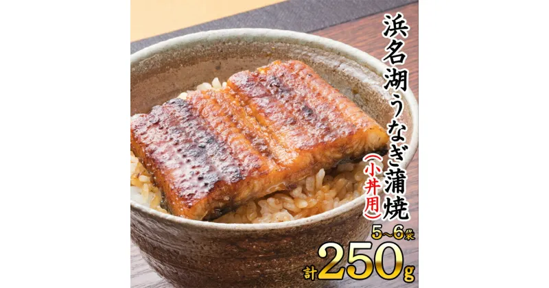 【ふるさと納税】浜名湖うなぎ蒲焼（小丼用）計250g 【訳あり】サイズ不揃い5～6袋　 加工品 養殖 老舗 手焼き 蒲焼 百貨店 ギフト カット 湯せん レンジ 美味しい 冷凍 食べきり 便利 簡単 調理