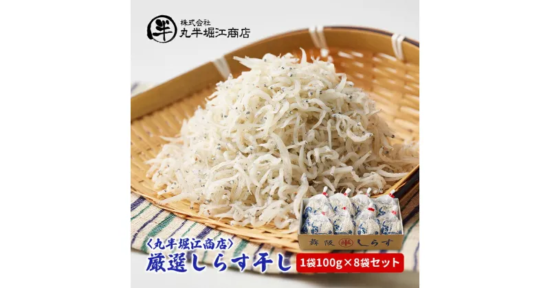 【ふるさと納税】〈丸半堀江商店〉厳選しらす干し　1袋100g×8袋セット【配送不可：離島】　 しらす 一匹一匹の大きさが揃った 個包装