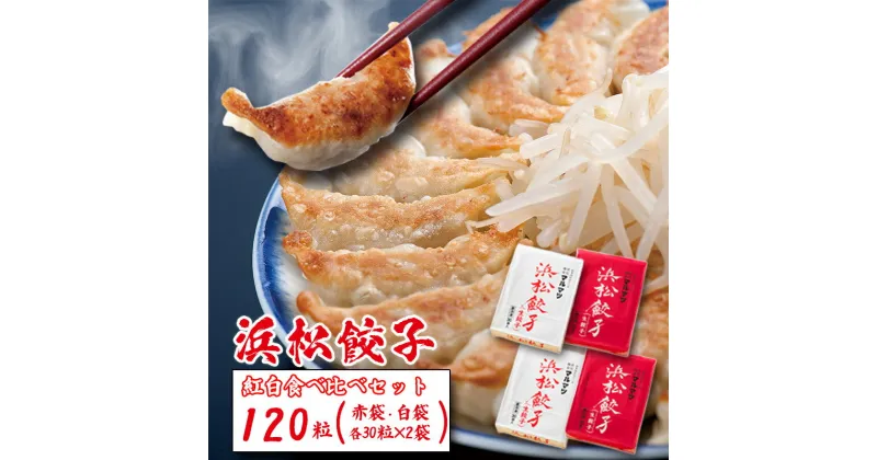 【ふるさと納税】浜松餃子 120粒 2種味くらべ（定番の味60粒、スタミナ60粒）総重量2.4kg！　 浜松市