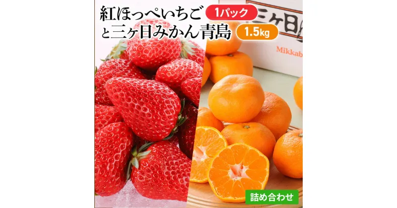 【ふるさと納税】【2025年1月中旬より順次発送】紅ほっぺいちご 1パックと三ヶ日みかん青島 1.5kg 詰合せ【配送不可：離島】　浜松市　お届け：2025年1月中旬～2025年1月下旬