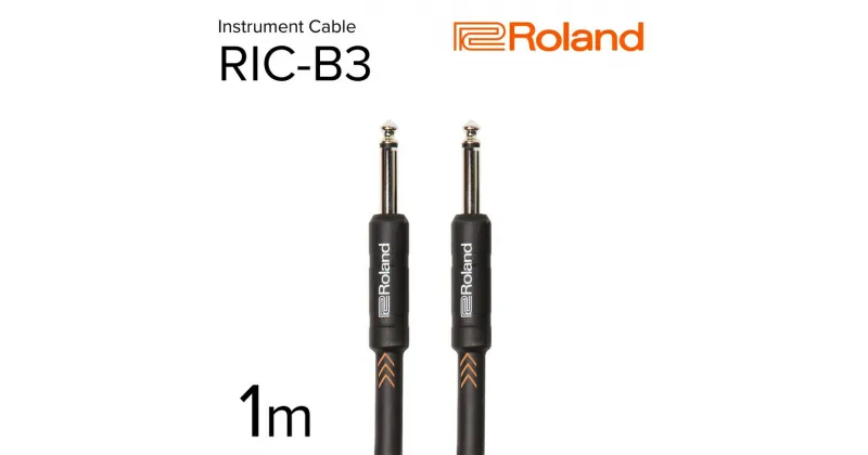 【ふるさと納税】【Roland純正】楽器ケーブル 1m/RIC-B3【配送不可：離島】　浜松市