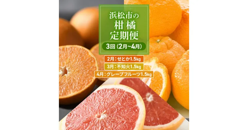 【ふるさと納税】【2025年2月上旬より発送】浜松市の柑橘定期便 3回（2月～4月）せとか・不知火・グレープフルーツ　定期便・浜松市　お届け：2025年2月上旬～2025年4月下旬