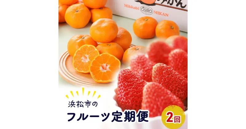 【ふるさと納税】【2025年1月中旬より発送】浜松市のフルーツ定期便　2回（1月～2月）三ヶ日みかん青島・紅ほっぺ【配送不可：離島】　定期便・浜松市　お届け：2025年1月上旬～2月下旬