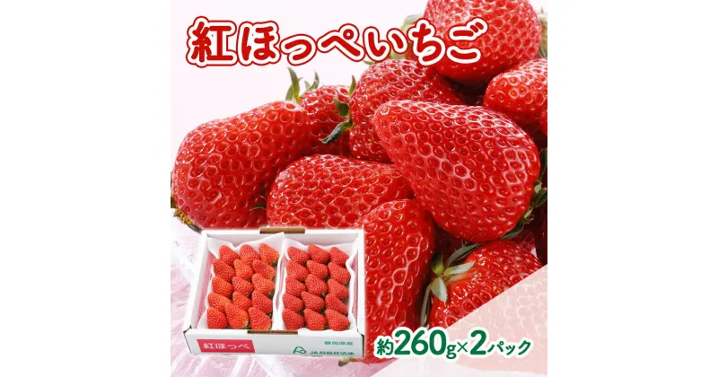 【ふるさと納税】【2025年1月中旬より順次発送】紅ほっぺいちご 約260g×2パック【配送不可：離島】　浜松市　お届け：2025年1月中旬～2025年2月下旬