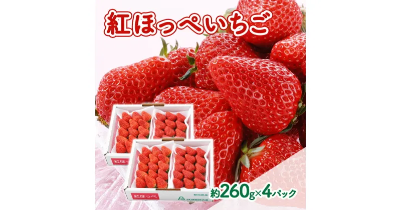 【ふるさと納税】【2025年1月中旬より順次発送】紅ほっぺいちご 約260g×4パック【配送不可：離島】　浜松市　お届け：2025年1月中旬～2025年2月下旬