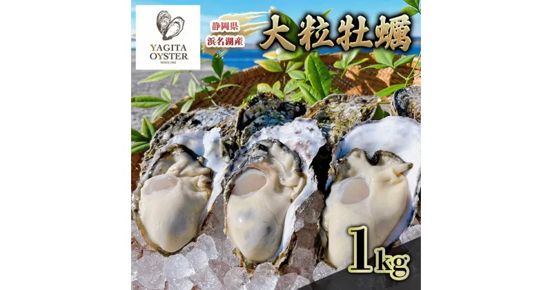 【ふるさと納税】【2025年1月より順次発送】浜名湖産かき大粒むき身1kg（加熱用）先行予約 牡蠣 海鮮 魚介 国産 浜名湖産 貝付き 生牡蠣 焼き牡蠣 蒸し牡蠣 冷蔵 産地直送　お届け：2025年1月中旬～2025年3月中旬まで