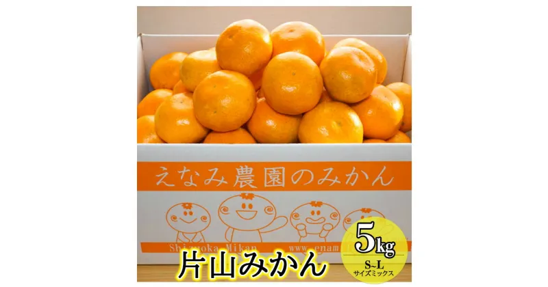 【ふるさと納税】えなみ農園の片山みかん　5kg（S～Lサイズミックス）　お届け：2024年12月上旬～2025年1月初旬まで