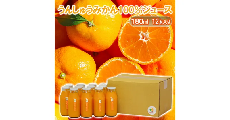 【ふるさと納税】うんしゅうみかん100％ジュース180ml　12本入り 温州みかん