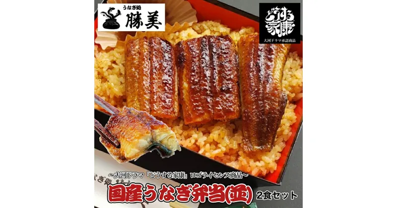 【ふるさと納税】国産うなぎ弁当【並】2食セット　お届け：2023年11月下旬～2024年12月中旬