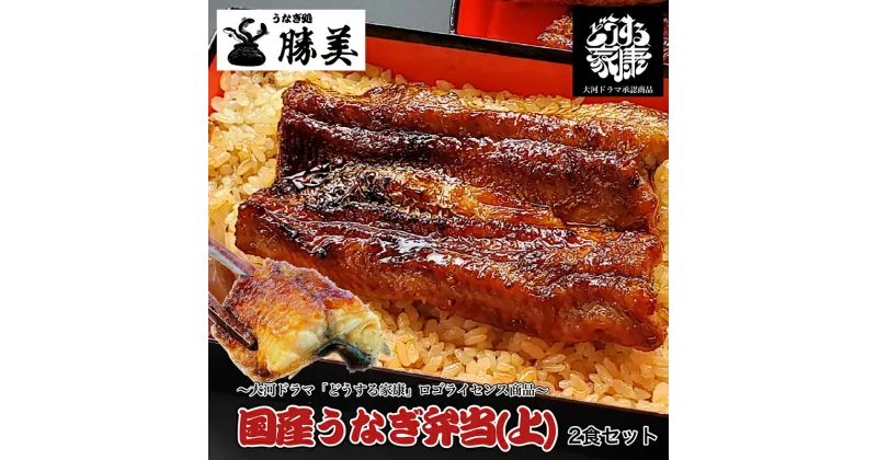 【ふるさと納税】国産うなぎ弁当【上】2食セット　お届け：2023年11月下旬～2024年12月中旬