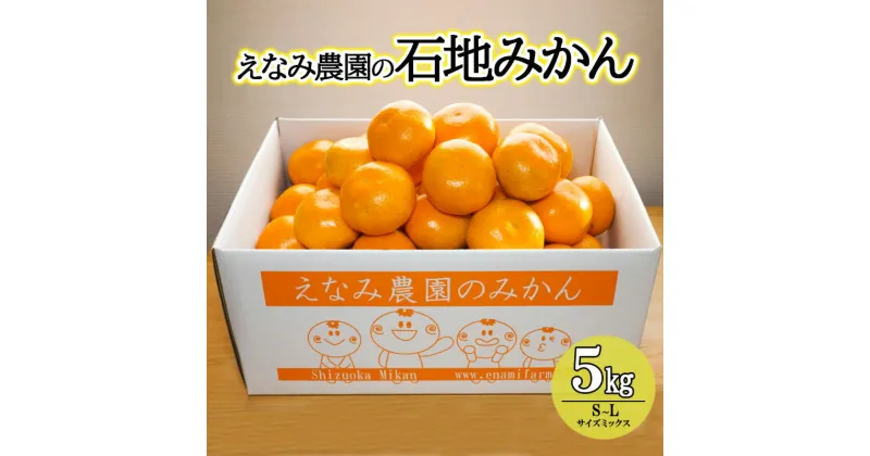 【ふるさと納税】えなみ農園の石地みかん　5kg（S～Lサイズミックス） みかん ミカン 柑橘 果物 くだもの フルーツ 浜松市 静岡　お届け：2024年12月中旬～2025年1月上旬まで