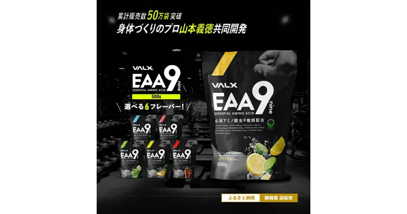 【ふるさと納税】VALX EAA9 500g 【山本義徳 アンチドーピング 国産 パウダー サプリメント 健康食品 男性 女性 筋トレ BCAA オススメ バルクス 　浜松市 静岡県】　健康食品・雑貨・日用品