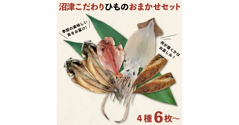 【ふるさと納税】 干物 魚 おまかせ こだわり 4種 6枚 大容量 セット 沼津 送料無料