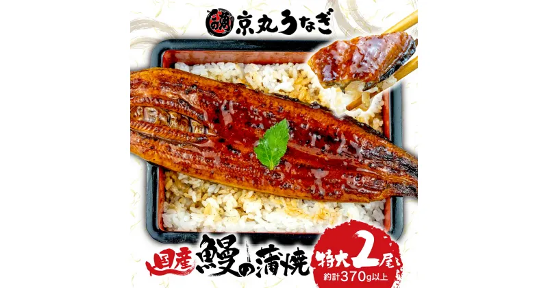 【ふるさと納税】 国産 うなぎ 蒲焼 特大 2尾 約350g 鰻 ギフトボックス セット 老舗 専門店 うなぎ処京丸 静岡