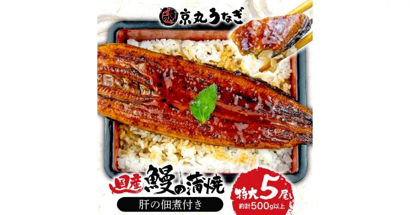 【ふるさと納税】 国産 うなぎ 蒲焼 たっぷり 5尾 約500g 鰻 肝 佃煮 ギフトボックス セット 老舗 専門店 うなぎ処京丸 静岡