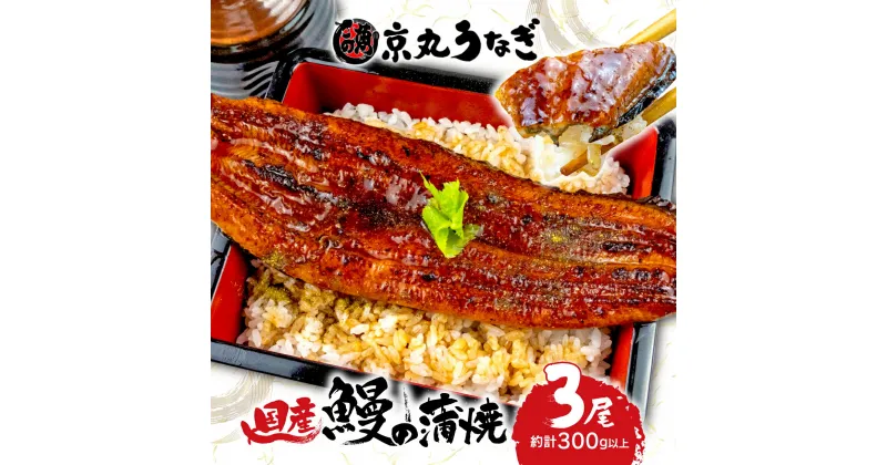 【ふるさと納税】 国産 うなぎ 蒲焼 たっぷり 3尾 約300g 鰻 ギフトボックス セット 老舗 専門店 うなぎ処京丸 静岡