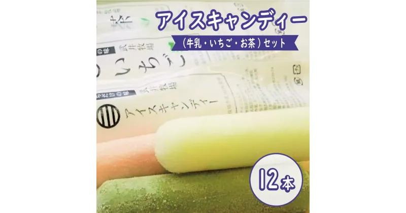 【ふるさと納税】 アイスクリーム アイスキャンディー 12本セット 牛乳 お茶 いちご味