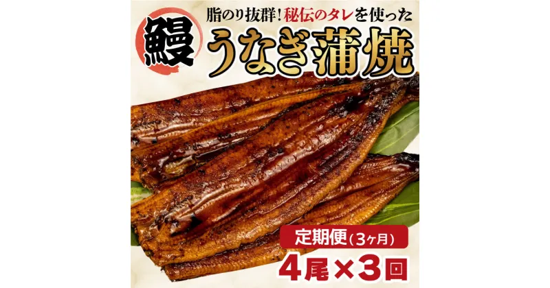 【ふるさと納税】 定期便 3ヶ月 うなぎ 蒲焼き 鰻 4尾 中国産 約550g 3回 まるが水産 脂ノリ抜群 指定日可