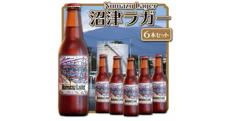 【ふるさと納税】 クラフトビール 地ビール 330ml 6本セット お酒 家飲み ギフト 贈答品 ご当地ビール 瓶ビール