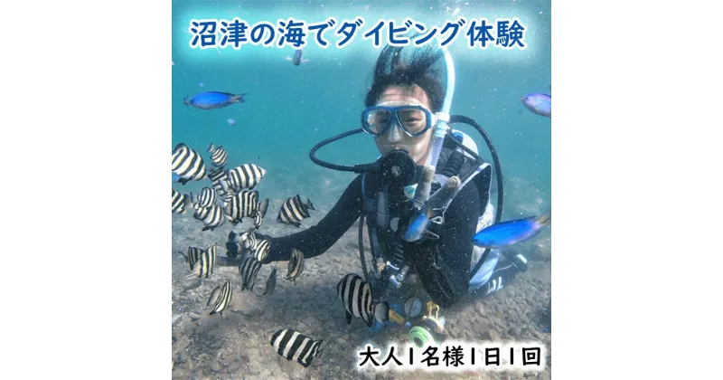 【ふるさと納税】 ダイビング 体験 チケット 大人 1名 1回 沼津 伊豆 半島 アクティビティ 遊び マリンスポーツ マリンアクティビティ スキューバ ダイビング 海 大瀬崎 平沢 獅子浜 井田