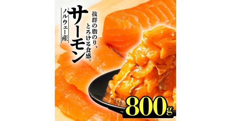 【ふるさと納税】 サーモン ノルウェー産 800g 刺身 まるが水産 父の日 指定日可 冷凍 鮭 さけ 海鮮 ふるさと納税 サーモン 訳あり ふるさと納税 訳あり ふるさと サーモン ふるさと納税 人気 ふるさと納税 ランキング