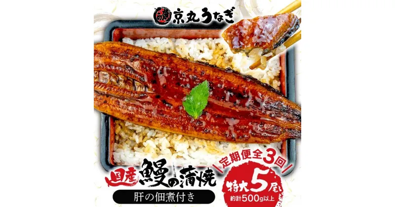 【ふるさと納税】 【 3カ月定期 】国産 うなぎ 蒲焼 たっぷり 5尾 約 500g 鰻 冷凍 肝 佃煮 ギフトボックス セット 老舗 専門店 うなぎ処京丸 定期便 静岡 土用 丑の日