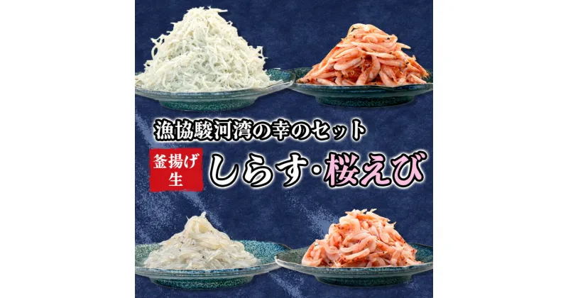 【ふるさと納税】 釜揚げ しらす 桜えび 生シラス 500g 4種 セット 小分け 駿河湾 沼津市 静岡