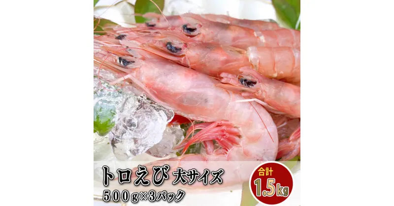 【ふるさと納税】 えび 冷凍 海老 トロえび 大 サイズ 1.5kg 500g 3パック 大容量 お刺身 駿河湾 エビ餃子 エビチリ エビ餃子