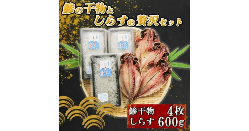 【ふるさと納税】 アジ 干物 4枚 釜揚げ しらす 200g 3個 600g セット