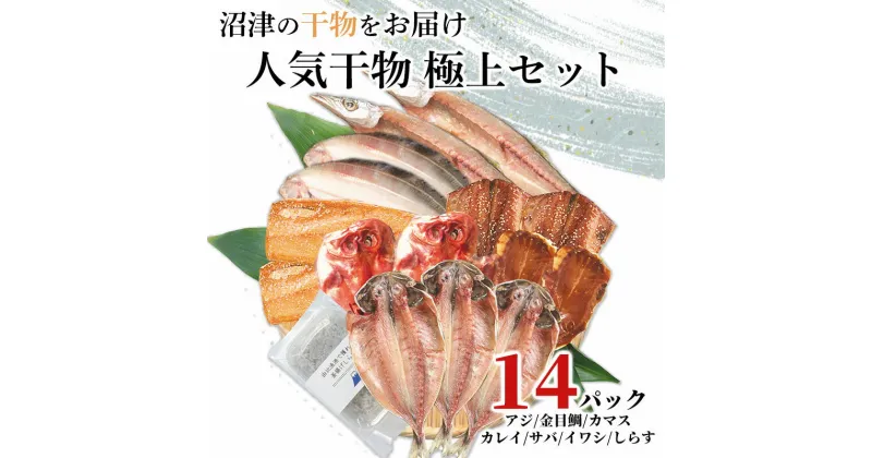 【ふるさと納税】 干物 2023極上ギフト 厳選 8種 14パック 贅沢 ひもの 計15枚 しらす 100g 沼津 加倉水産 贈答