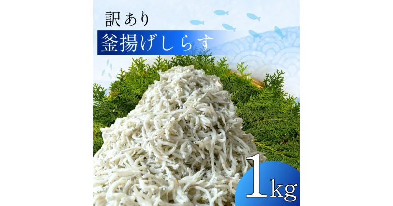 【ふるさと納税】 訳あり 釜揚げしらす 1kg たっぷり 冷凍 小分け パック 500g 2パック 駿河湾