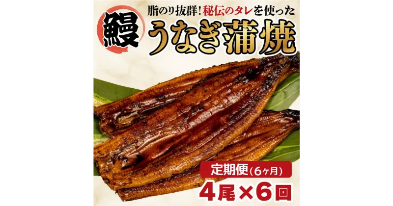 【ふるさと納税】 6ヶ月 定期便 まるが水産 脂ノリ抜群！うなぎの蒲焼き 4尾 中国産 指定日可