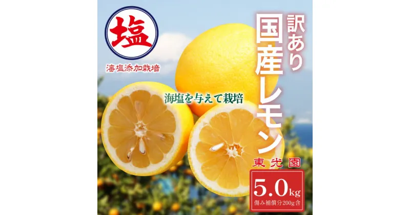 【ふるさと納税】 海塩を与えて栽培した 国産 レモン 訳あり 計 5kg 傷み補償分 200g含む 檸檬 柑橘 果物 フルーツ 沼津市 静岡県