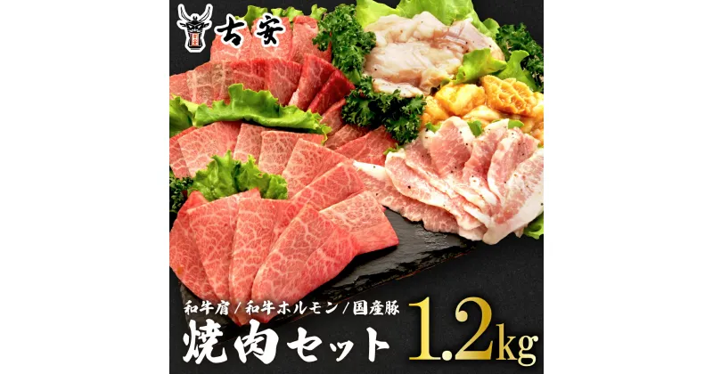 【ふるさと納税】 焼肉 セット1.2kg 各 300g 和牛 肩肉 ホルモン トントロ 牛 豚 味噌 塩 バーベキュー 古安