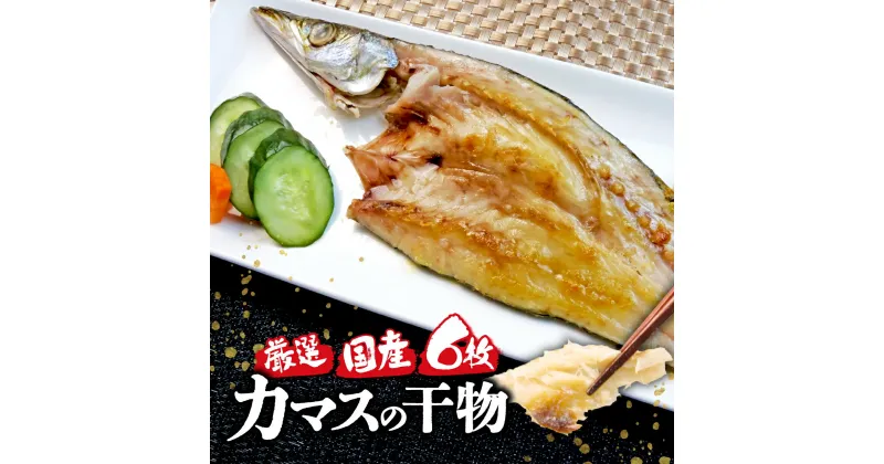 【ふるさと納税】 国産 厳選 冬 カマス6枚 干物 脂 旨味 凝縮 真空 パック 食べやすい ご飯 おかず 冷凍 小分け 個包装