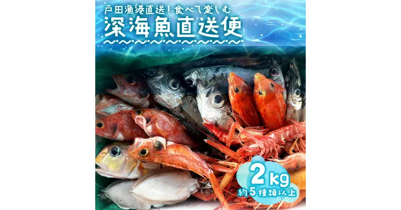 【ふるさと納税】 見て食べて楽しむ 深海魚直送便 約2kg 2～3人前 セット 深海魚の宝庫 沼津 戸田 からお届け！