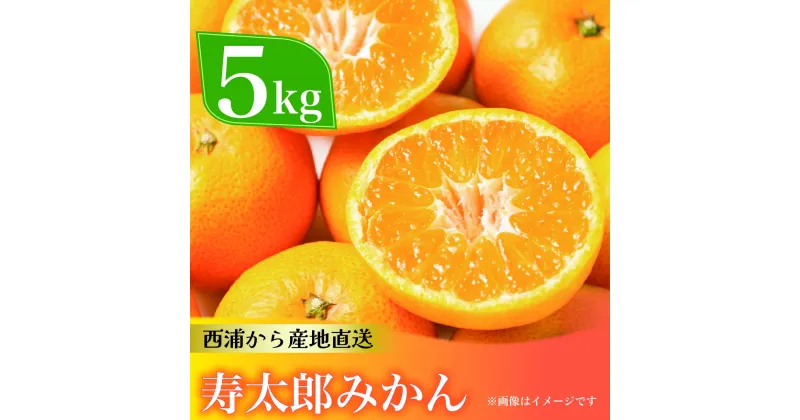 【ふるさと納税】 寿太郎 みかん 約5kg 西浦 柑橘 本格 貯蔵 熟成