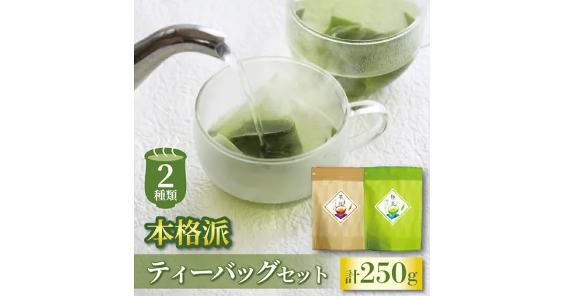 【ふるさと納税】 ティーバッグ セット 緑茶 ほうじ茶 セット 2種 計 250g 静岡県 沼津