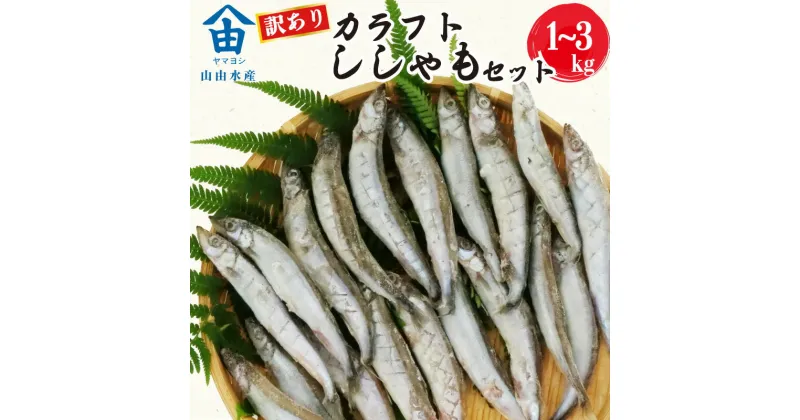 【ふるさと納税】 訳あり ししゃも 1~3kg カラフト 丸干し 干物 ひもの セット 冷凍 沼津 静岡