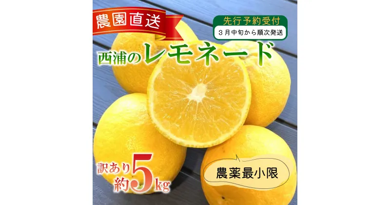 【ふるさと納税】 訳あり 西浦 レモネード 5kg 西浦 蜜柑 柑橘 オレンジ 減農薬 木負観光みかん園