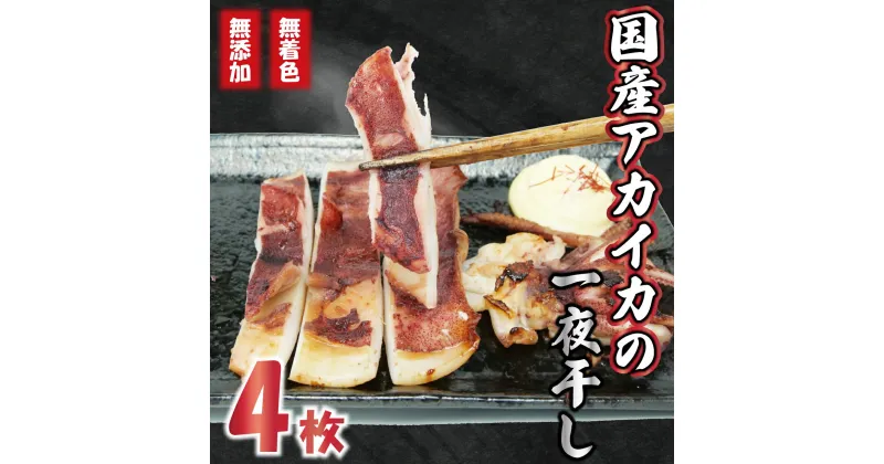 【ふるさと納税】 国産 アカイカ 一夜干し 4枚 イカ おつまみ 干物 冷凍 無着色 無添加 指定日可 静岡県 沼津市