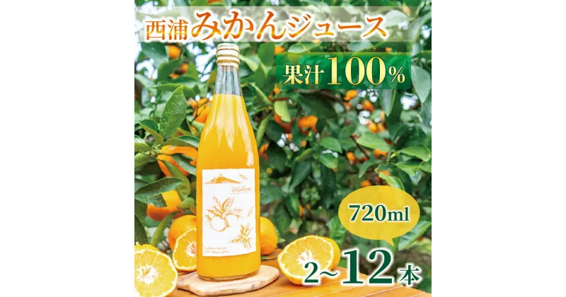 【ふるさと納税】 果汁100％ みかん ジュース 720ml 2~12本 西浦 オレンジ 飲み物 静岡 沼津