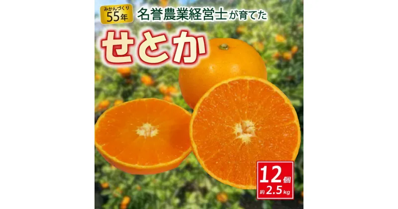 【ふるさと納税】 せとか 12個 約 2.5 kg 【 はら みかん 農園 】 柑橘 オレンジ 沼津 静岡 フルーツ 直送 数量 限定