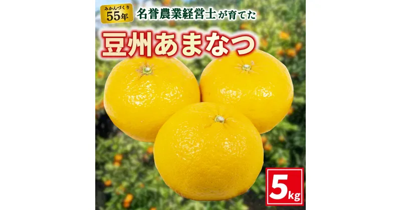 【ふるさと納税】 豆州 あまなつ 約 5 kg 【 はら みかん 農園 】 柑橘 オレンジ 沼津 静岡 数量 限定