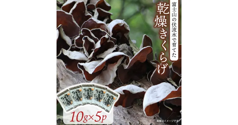 【ふるさと納税】 乾燥 きくらげ 10g×5パック 計50g 栄養豊富 キクラゲ 中華 木耳 きのこ 健康 食品 食物繊維 食感 静岡 沼津