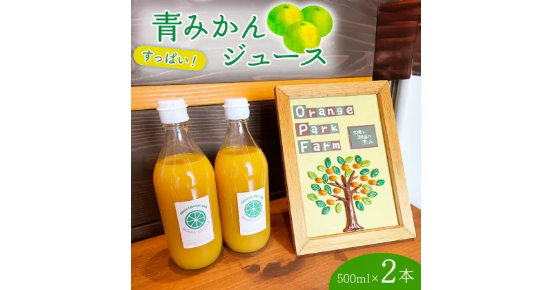 【ふるさと納税】 果汁 100％ みかん ジュース 500ml × 2本 青みかん ジュース ストレート 西浦 みかん オレンジ すっぱい 酸っぱい 飲み物 蜜柑 静岡 沼津 自然農